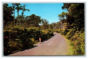 Vintage 1960's Postcard Woman Highway Fern Forest Volcanoes National Park Hawaii