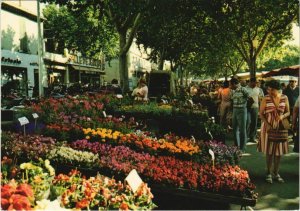 CPM CARPENTRAS Le Marche aux Fleurs (1087160)