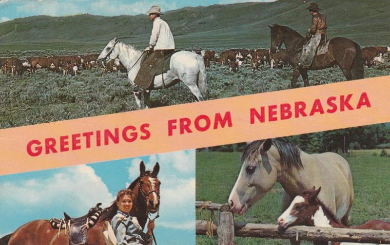 Greetings From Nebraska - Horses - pm 1962