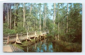 Footbridge Okefenokee Swamp Park Waycross Georgia GA UNP Chrome Postcard N8