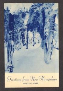 NEW HAMPSHIRE Winter Greetings From NH Postcard Snow