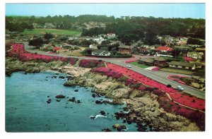 Aerial Magic Carpet, Pacific Grove, California