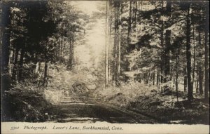 Barkhamsted Connecticut CT Lover's Lane De Mars Real Photo Vintage Postcard