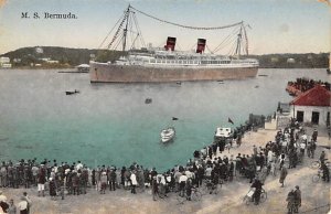 MS Bermuda Furness Line Ship Unused 