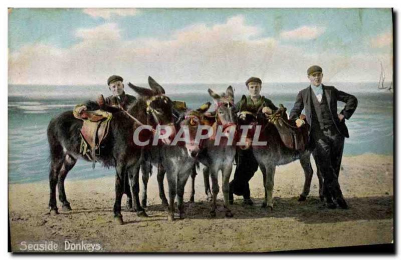 Old Postcard Donkey Mule Seaside Donkeys