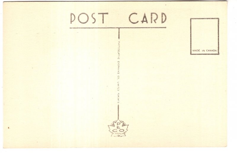 Roman Catholic Cathedral, St. John's Newfoundland