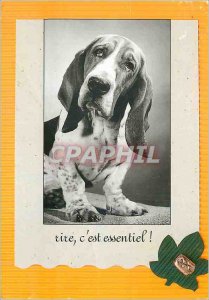 Postcard Modern Living is Essential Collection Natural Dog