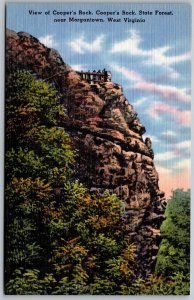 Vtg Morgantown West Virginia WV Cooper's Rock State Forest 1940s View Postcard