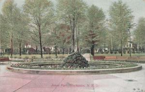 Flowers at Jones Park at Rochester, New York - pm 1909 - DB