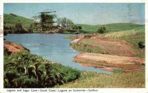 South Africa Lagoon and Sugar Cane South Coast Vintage Postcard 08.66