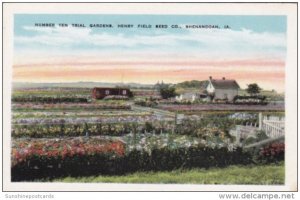 Iowa Shenandoah Number Ten Trial Gardens Henry Field Seed Company