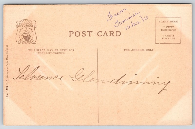 St Paul Minnesota~Tropical Lily Pond Como Park~VO Hammon c1913 Postcard