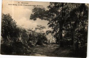 CPA CHEVREUSE - St-RÉMY vu des Promenades de la Madeleine (165648)