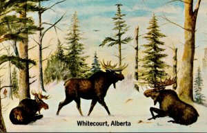 Canada Alberta Whitecourt Moose Country Painting By Morley White