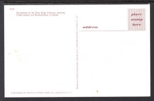 Springtime,Blue Ridge Parkway