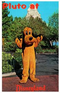 12459    Disneyland   1960's   Pluto