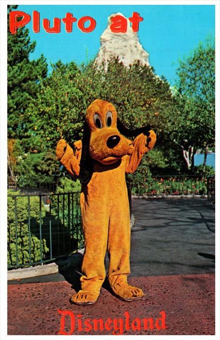 12459    Disneyland   1960's   Pluto