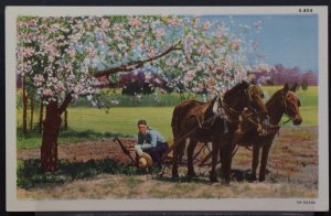 Horses and Plow Under a Tree