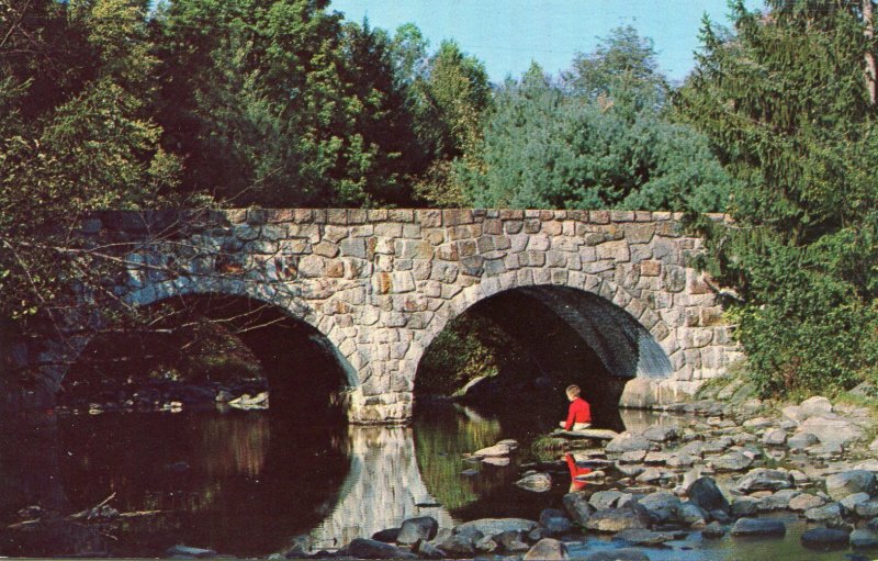 BIG FLATBROOK STOKES STATE FOREST SUSSEX COUNTY NJ UNUSED CHROME POSTCARD