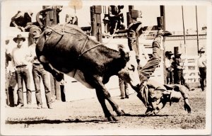 Rodeo Cowboy Bull Rider Calgary Stampede Alberta Rosettis RP Postcard H23