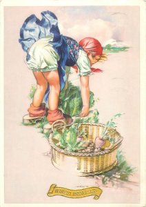 Lovely drawn girl gardening cabbage 1955 postcard Belgium 
