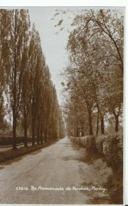 London Postcard - The Promenade de Verdun, Purley - Real Photograph - Ref 15841A