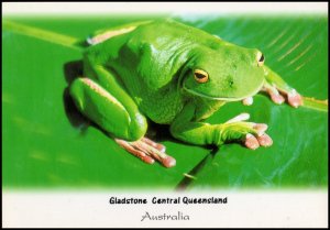 Australia Post card - White Lipped Green Tree Frog