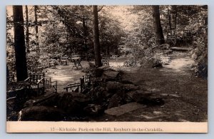 J95/ Roxbury-In-The-Catskills New York RPPC Postcard c1920s Kirkside Park 134