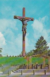 Michigan Indian River Catholic Shrine Largest Wooden & Bronze Crucifix In...