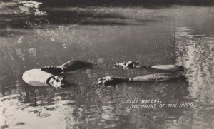 Still Waters The Haunt Of The Hippo Antique Real Photo Postcard