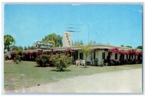1955 Mayflower Motel Roadside Woman St. Petersburg Florida FL Vintage Postcard