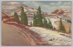 Linen~Timberline Road In The Rocky Mountains~Vintage Postcard