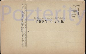 CAMP LIFE AT WILSON PEAK CALIFORNIA