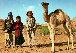 CONTINENTAL SIZE POSTCARD ARAB CHILDREN WITH A YOUNG CAMEL