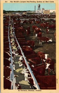 Postcard AZ Phoenix World's Largest Cattle Pen Feeding System LINEN 1940s S112