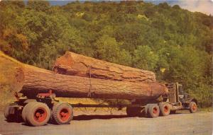THESE LITTLE LOGS GO TO MARKET~TRUCK LOADED WITH LOGS POSTCARD 1960s