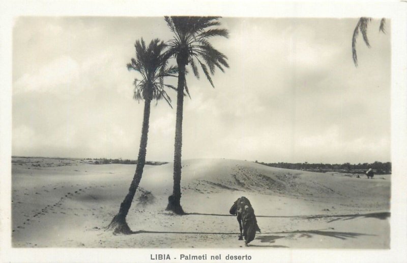 Libya Tripoli 4 real photo postcards ethnic life oasis desert palms Suk el Turk 