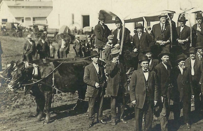 Madison MINNESOTA RPPC 1911 COVERED WAGON Homecoming DIGNITARIES nr Dawson COWS