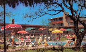 WESTERN HILLS HOTEL Swimming Pool Fort Worth, Texas ca 1950s Vintage Postcard