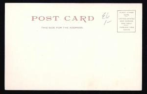 South Street Pittsfield Massachusetts unused c1905