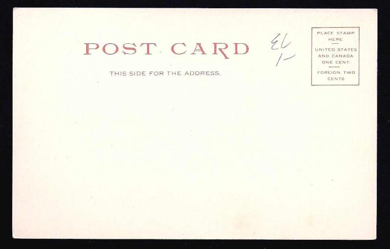 South Street Pittsfield Massachusetts unused c1905