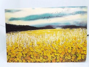 Field of Golden Hue Poppies Gilda Baron Artist Harrow Vintage Art Postcard