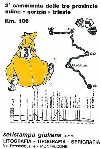 CARTOLINA d'Epoca: UDINE Città: pubblicitaria 1987