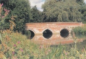 Toppesfield Bridge Hadleigh Suffolk Painting Postcard