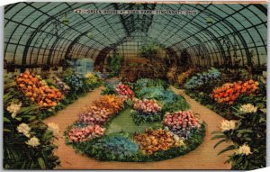 Cincinnati Ohio OH, Green House at Eden Park, Flowers, Plants, Vintage Postcard