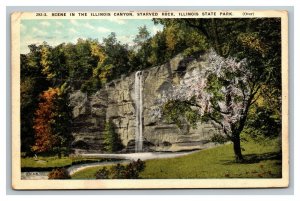 Vintage 1925 Postcard Illinois Canyon Starved Rock Illinois State Park IL