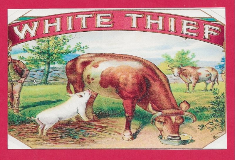 H-012 - White Thief Cigar Box Label Contemporary Picture Postcard