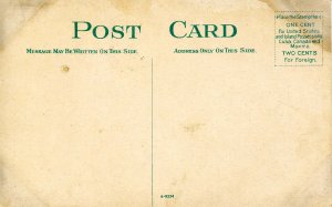 NY - Buffalo. McKinley Monument  (stained card)