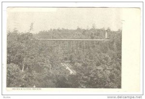 Scenic view,Rosedale Ravine,Toronto,Canada,00-10s