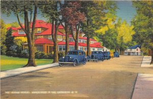 Maplecrest New York in the Catskills New York 1940s Postcard Sugar Maples